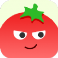 番茄相册大师app官方版 v1.0.0.0
